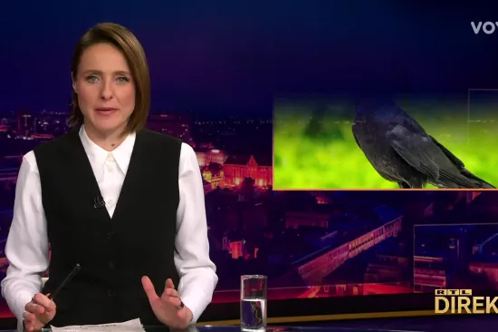 Eksperiment izuo Mojmiru iz cipela, na ono &scaron;to rade vrane samo je rekla: Moolim?!