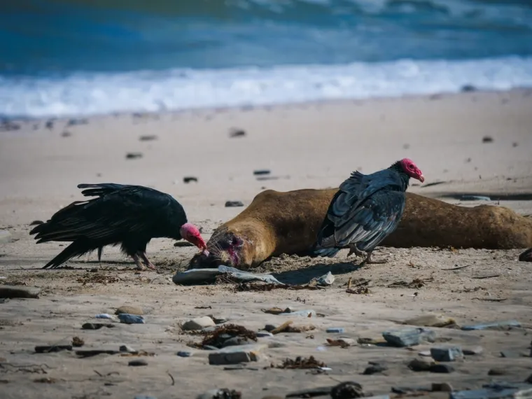 Bizarna prognoza izaziva nelagodu: Fizičar je s timom znanstvenika odredio datum sudnjeg dana