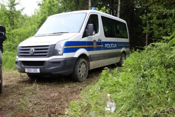 Horor kod Vrbovca, mu&scaron;karac (42) umro dok je sjekao drva: 'Grana je pala na njega'