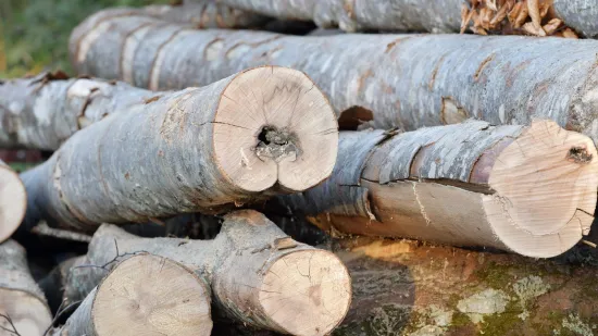 Hrvatske &scaron;ume povisile cijene drva, evo za koliko: 'I dalje među najpovoljnijima u regiji'