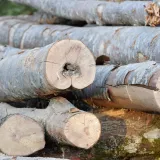 Hrvatske &scaron;ume povisile cijene drva, evo za koliko: 'I dalje među najpovoljnijima u regiji'