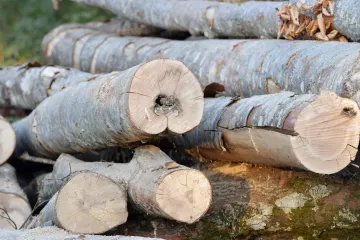 Hrvatske &scaron;ume povisile cijene drva, evo za koliko: 'I dalje među najpovoljnijima u regiji'