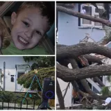 Pogledajte kakva je grdosija zdrobila kuću: 'Odjednom se dogodio taj ogroman tresak... samo sam vri&scaron;tala'