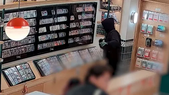 Naoružani lopovi čekićima razbijali vitrine u New Yorku: Kad vidite &scaron;to su ukrali, sve će vam biti jasno