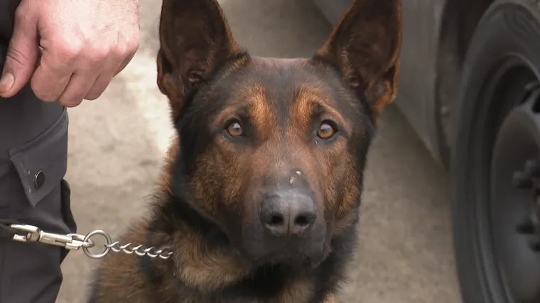 Treniraju se novi hrvatski policajci: Uvijek će im se dati ići na posao, a mogu se potkupiti kolačićem