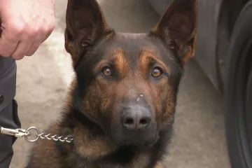 Treniraju se novi hrvatski policajci: Uvijek će im se dati ići na posao, a mogu se potkupiti kolačićem