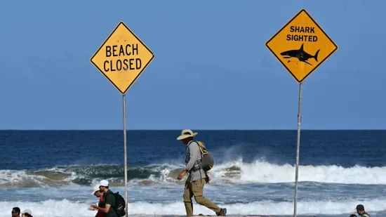 Morski pas te&scaron;ko ozlijedio dječaka (12): Hitno prevezen u bolnicu, liječnici mu se bore za život