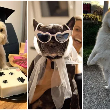 Oprez: Ove preslatke nju&scaron;ke mogle bi vam uljep&scaron;ati dan! Pogledajte koga ste nam sve poslali