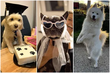 Oprez: Ove preslatke nju&scaron;ke mogle bi vam uljep&scaron;ati dan! Pogledajte koga ste nam sve poslali