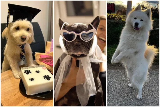 Oprez: Ove preslatke nju&scaron;ke mogle bi vam uljep&scaron;ati dan! Pogledajte koga ste nam sve poslali