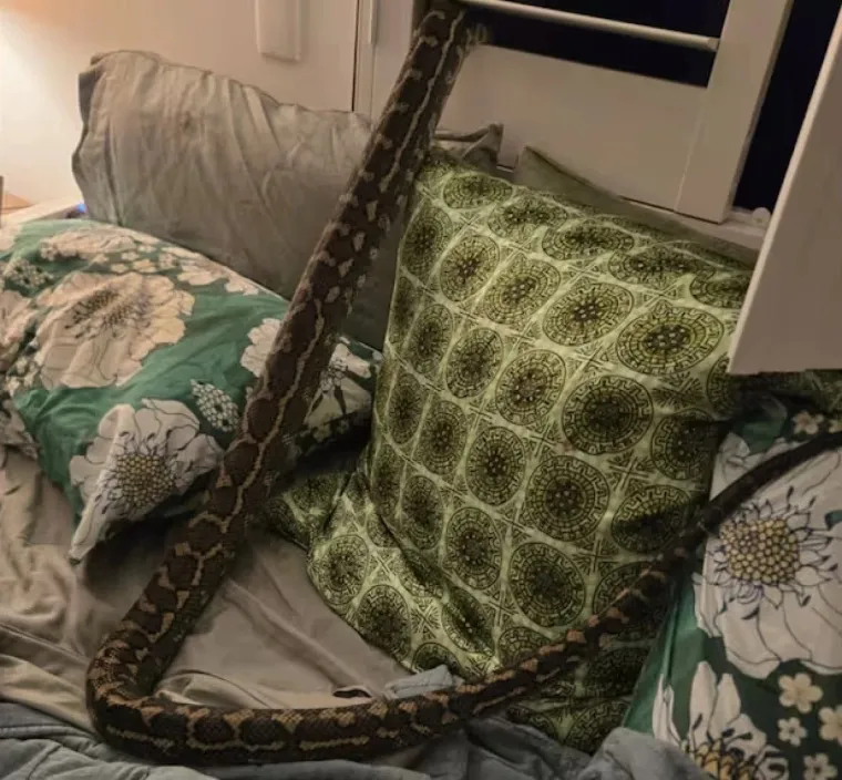 Stravično! Probudila se s te&scaron;kim teretom na prsima, a onda &scaron;ok: 'Ne miči se...'