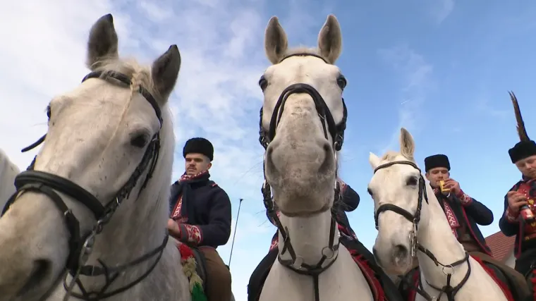 Konji, pjesma i tradicija koja živi kroz generacije: '&Scaron;to kažu bolje da umre selo, nego običaji'