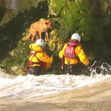 Herojska akcija spasilačkih službi: Spasili su psa zarobljenog na stijenama tik prije plime