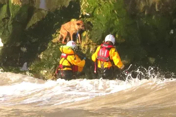 Herojska akcija spasilačkih službi: Spasili su psa zarobljenog na stijenama tik prije plime