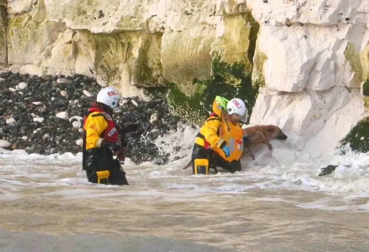 Herojska akcija spasilačkih službi: Spasili su psa zarobljenog na stijenama tik prije plime