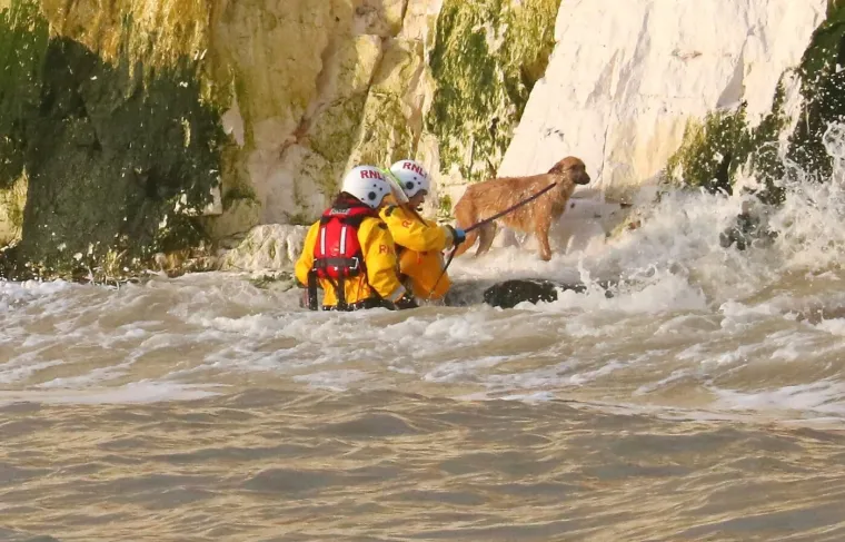 Herojska akcija spasilačkih službi: Spasili su psa zarobljenog na stijenama tik prije plime