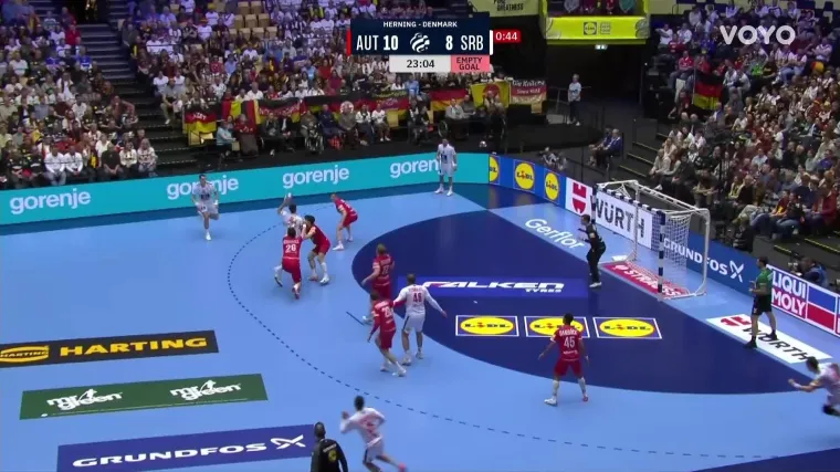 Ovo se rijetko viđa: Srbija zabila gol, a onda je delegat ne&scaron;to primijetio