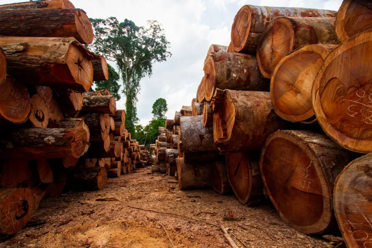 Dogovor koji trese Europu: &Scaron;to je to Mercosur, &scaron;to smo s njim potpisali i za&scaron;to ga se neki boje?