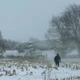 Brutalan lančani sudar: Sudarilo se preko 100 vozila, deseci ljudi su ozlijeđeni