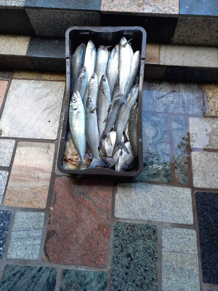 Poznati trener napravio zaokret: 'Imamo paradajz, krumpir, kapulu.... Puno mi to znači'