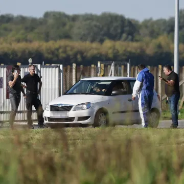 Potvrđen slučaj afričke svinjske kuge u Slavoniji: To je prvi put u novoj godini