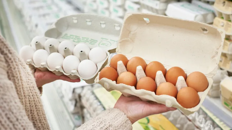 Neka su smeđa, neka bijela: Stručnjaci otkrili postoji li stvarna razlika u kvaliteti jaja po boji