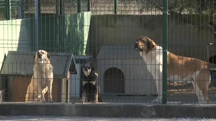 Doznajemo &scaron;to je sve inspekcija zatekla u &scaron;ibenskom azilu! Slijede paprene kazne