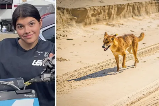 Djevojka (19) pronađena mrtva u turističkom 'raju': Pored tijela zatekli čopor divljih životinja