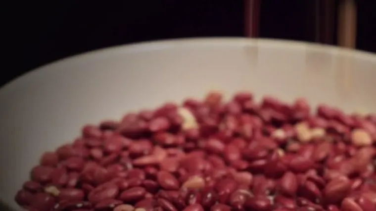 Najobičniji grah progla&scaron;en otrovnom biljkom godine: Mooolim?! Evo &scaron;to kaže Direktov nutricionist