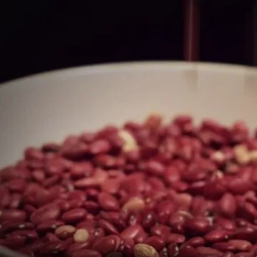 Najobičniji grah progla&scaron;en otrovnom biljkom godine: Mooolim?! Evo &scaron;to kaže Direktov nutricionist