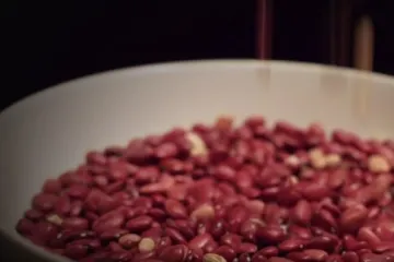 Najobičniji grah progla&scaron;en otrovnom biljkom godine: Mooolim?! Evo &scaron;to kaže Direktov nutricionist