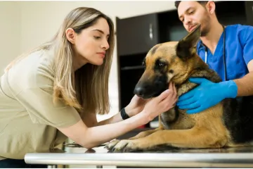 Veterinar: 'Možda je vama te&scaron;ko reći zbogom, ali za njih je to pakao. Ne ostavljajte ih same'