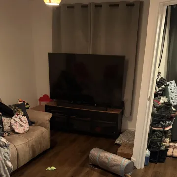 Dokažite da imate oči sokolove i da u pet sekundi možete pronaći mačku: Mnogima nije uspjelo