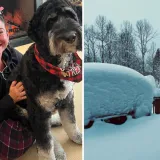 Dottie zatrpana u snijegu ispred svoje kuće: 'Opet je sniježilo!'