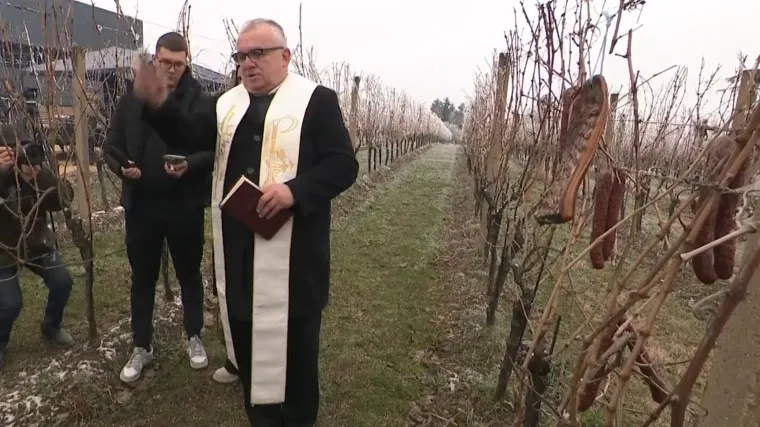 Vinogradi orezani, okićeni kobasicama i slaninom: Znate li pozadinu ovog običaja?