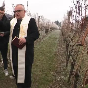 Vinogradi orezani, okićeni kobasicama i slaninom: Znate li pozadinu ovog običaja?