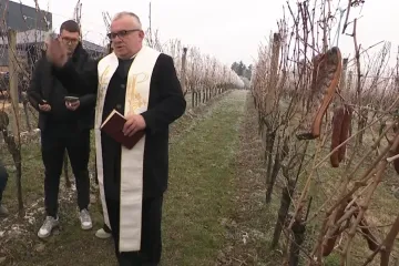 Vinogradi orezani, okićeni kobasicama i slaninom: Znate li pozadinu ovog običaja?