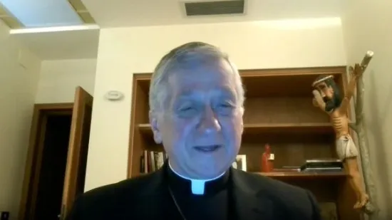 Američki kardinal hrvatskih korijena za Direkt: 'Trumpova politika razara obitelji'