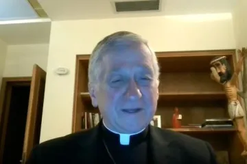 Američki kardinal hrvatskih korijena za Direkt: 'Trumpova politika razara obitelji'