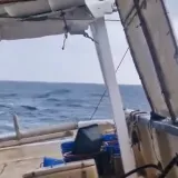 Pomorci na Jadranu iskusili fenomen 'mrtvog mora', a 'mirno' Sredozemlje neugodno iznenadilo znanstvenike