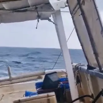 Pomorci na Jadranu iskusili fenomen 'mrtvog mora', a 'mirno' Sredozemlje neugodno iznenadilo znanstvenike