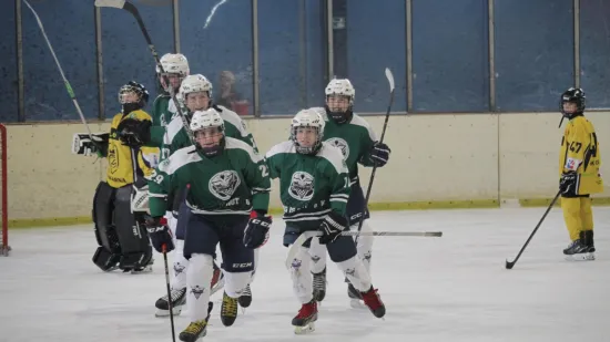 Hokeja&scaron;ki spektakl na Velesajmu! Sport, edukacija i borba protiv dopinga: Ne propustite turnir 'Zeleni pak'