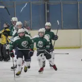 Hokeja&scaron;ki spektakl na Velesajmu! Sport, edukacija i borba protiv dopinga: Ne propustite turnir 'Zeleni pak'