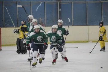 Hokeja&scaron;ki spektakl na Velesajmu! Sport, edukacija i borba protiv dopinga: Ne propustite turnir 'Zeleni pak'