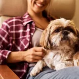 Potro&scaron;ila je vi&scaron;e od 45.000 eura da klonira uginulog psa: 'Sada ne bih to napravila'