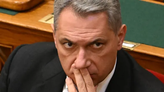 Skandalozna izjava mađaskog ministra: 'Romi bi trebali ribati prljave zahode'