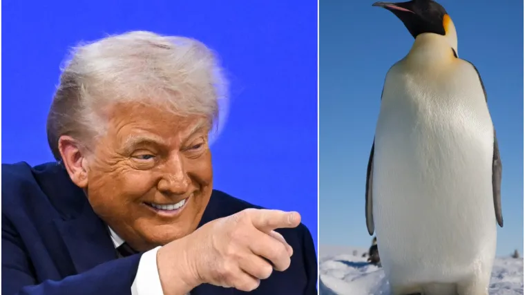 Bijela kuća objavila sliku Trumpa s pingvinom - jedan detalj im je promakao