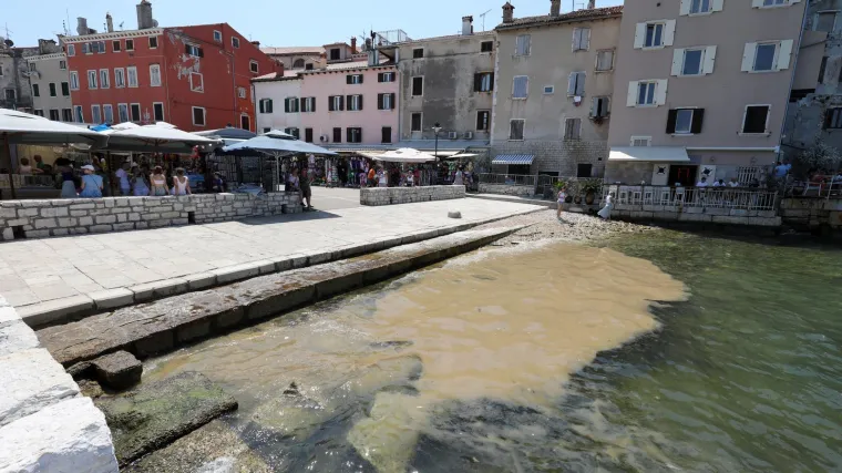 Hrvatski znanstvenici razotkrili misterij masovne pojave u moru: 'Može ozbiljno naru&scaron;iti...'