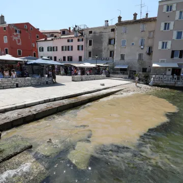 Hrvatski znanstvenici razotkrili misterij masovne pojave u moru: 'Može ozbiljno naru&scaron;iti...'