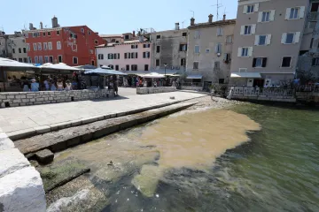 Hrvatski znanstvenici razotkrili misterij masovne pojave u moru: 'Može ozbiljno naru&scaron;iti...'